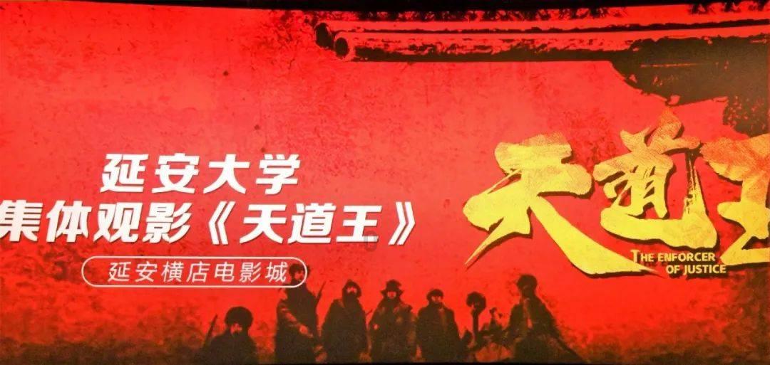 奥利维亚收养猫