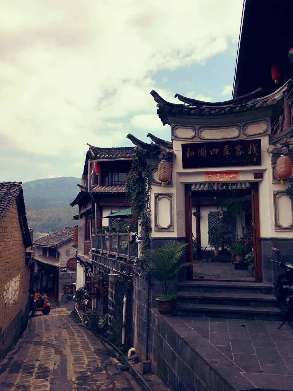 寻找火鸡